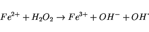 \begin{displaymath}
Fe^{2+} + H_2O_2 \rightarrow Fe^{3+} + OH^{-} + OH\mbox{\.{}}
\end{displaymath}