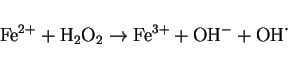 \begin{displaymath}
{\rm Fe}^{2+} + {\rm H}_2{\rm O}_2 \rightarrow {\rm Fe}^{3+}
+ {\rm OH}^- + {\rm OH}\mbox{\.{}}
\end{displaymath}