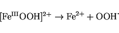 \begin{displaymath}[{\rm Fe^{III}OOH}]^{2+} \rightarrow {\rm Fe}^{2+} + {\rm OOH}\mbox{\.{}}
\end{displaymath}