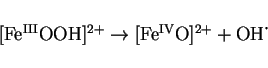 \begin{displaymath}[{\rm Fe^{III}OOH}]^{2+} \rightarrow [{\rm Fe^{IV}O}]^{2+} + {\rm OH}\mbox{\.{}}
\end{displaymath}