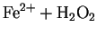 $\displaystyle \rm {Fe}^{2+} + \rm {H}_2\rm {O}_2$