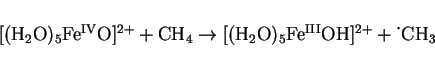 \begin{displaymath}[({\rm H}_2{\rm O})_5{\rm Fe}^{\rm {IV}}{\rm O}]^{2+} + {\rm ...
...})_5{\rm Fe}^{\rm {III}}{\rm OH}]^{2+} + \mbox{\.{}}{\rm CH}_3
\end{displaymath}